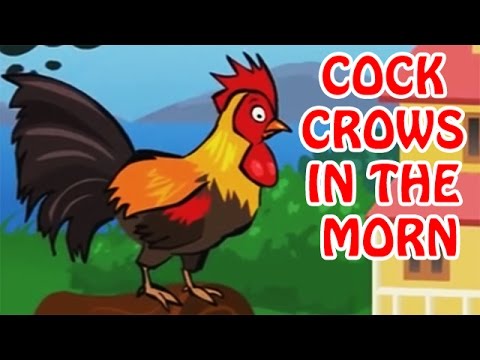 Cock Crows In The Morn | Animated Rhymes For Kids In English
