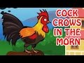 Cock Crows In The Morn Animated Rhymes For Kids In English