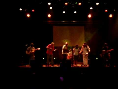 Son jarocho en Zurich. Los pollos. Son de Corazon.