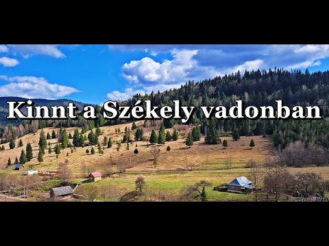 A Gyimesi vadonban kihalt elnéptelenedett tájakon jártunk. A magyarság kihalt, románok költöznek ide