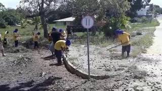 Nosso trabalho diário (Como tudo começou)