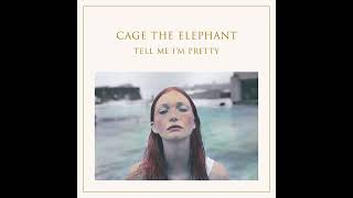 Too Late To Say Goodbye - Cage The Elephant | Instrumental