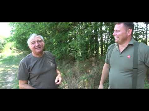 Svätý Peter -  lov srnca