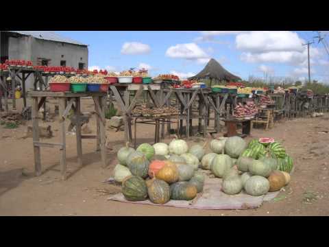 Sustainability of Food Systems: A Global Life Cycle Perspective with Jason Hill