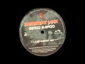(2000) Basement Jaxx - Bingo Bango [David Morales Latin Bango RMX]