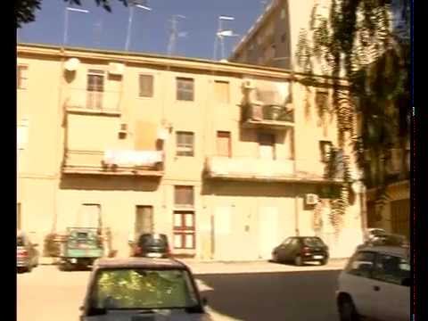 Trattamento efficace di tutto lorganismo per tutti i parassiti Formazione del paziente per lanalisi un calla su uova di vermi