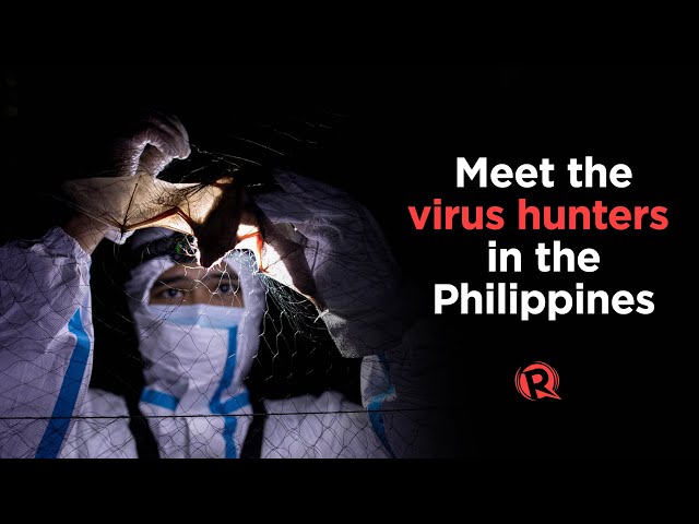 By catching bats, Filipino ‘virus hunters’ hope to stop next pandemic