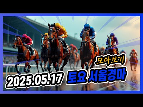 2025년 5월 17일 토요 서울경마 전체경주 모아보기