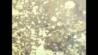 Hara Masumi - Yoru No Sachi