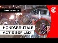 Vrouw steelt eigen weggesleepte auto terug