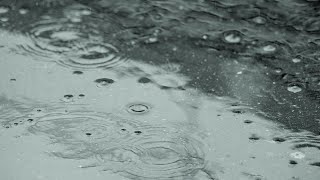 Fw: [Vtub] 黛灰的選擇投票結果