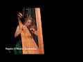 Harpist Bridget Kibbey plays Paquito D'Rivera's Bandoneon