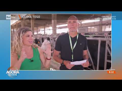 RAI 3 AGORA' - Caldo estremo ed effetti sull'agricoltura: il focus dall'Emilia-Romagna con Cia