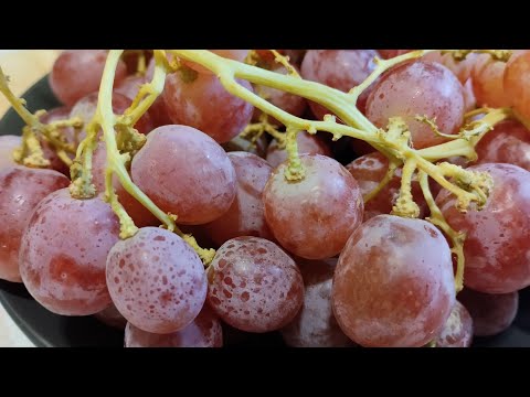 Heals the whole body in 1 day! Liver, intestines, heart, bones...