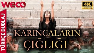 Karıncaların Çığlığı Türkçe Dublaj HD Film