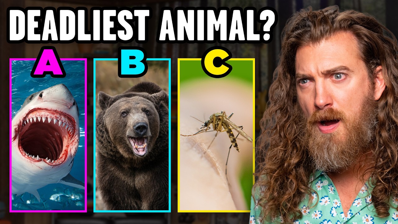 Ranking The Most Dangerous Animals
