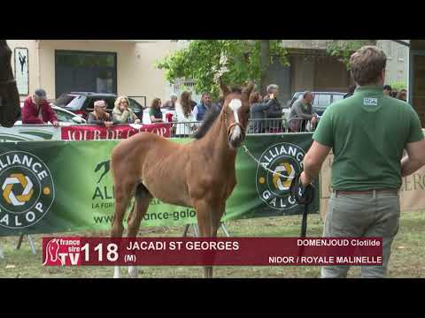Sprinter Sacré Show 2019 : Lot 118  - JACADI ST GEORGES