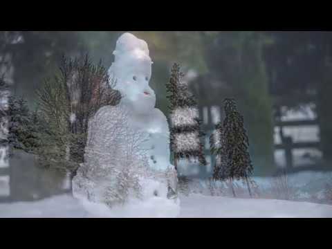 Victor Socaciu - Oameni de zăpadă