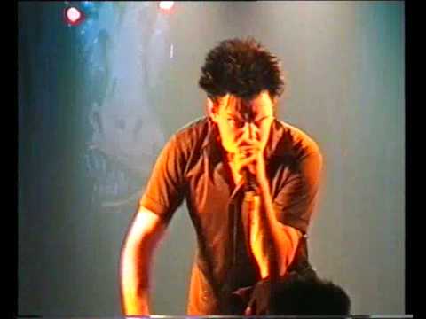 CAT RAPES DOG -  SPEEDING JESUS