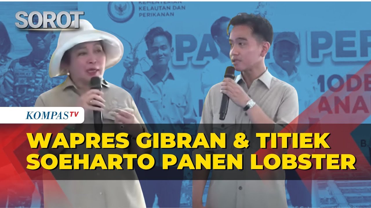[FULL] Pernyataan Titiek Soeharto dan Wapres Gibran Usai Panen Lobster di Batam