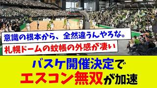 バスケ開催決定でエスコン無双が加速【プロ野球】【エラー】【札幌ドーム】【なんj】【プロ野球スピリッツa】【村上宗隆】