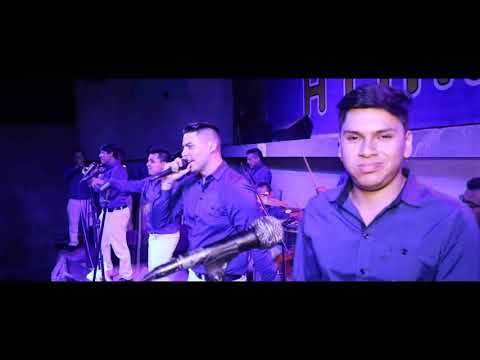 3NOTAS   PALOMITA ERRANTE