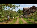 How Do People Live In Swiss Alpine Villages Among Apple And Cherry Orchards
