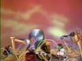Sesame Street Spaceship Surprise The Next Generation