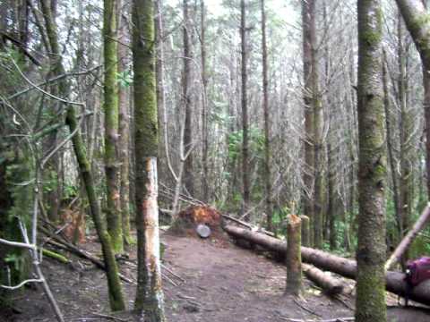 12 Gauge Slug vs Cast Iron Skillets!