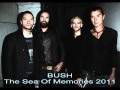 Bush - I Believe In You