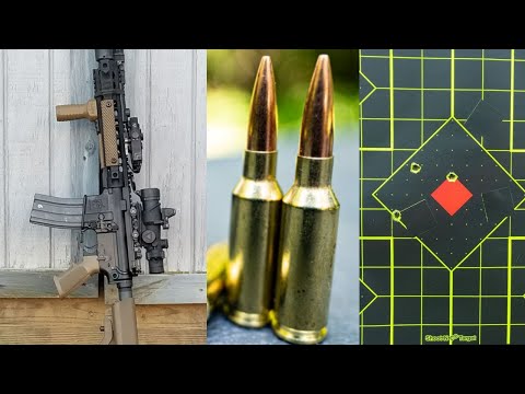 6 ARC Gas Gun: Anti Precision