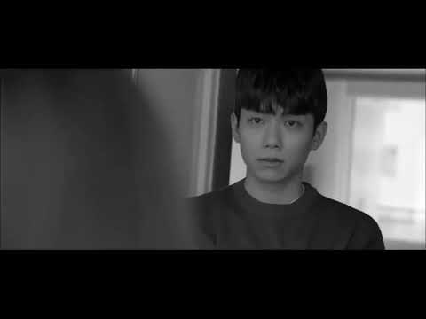 비디오 13
