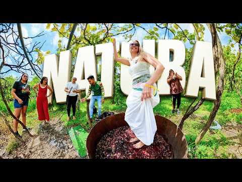 DESCUBRA NATUBA: A TERRA DAS UVAS NA PARAÍBA!