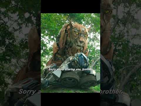 It’s an honor 🙏🏻🙏🏻 #transformers #optimus