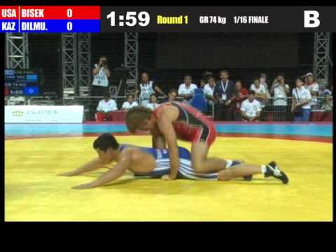 2011 World Wrestling Championships