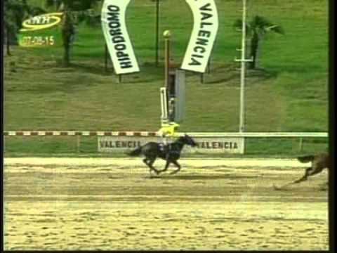 Resumen Viernes, 07 de Agosto de 2015 - Valencia