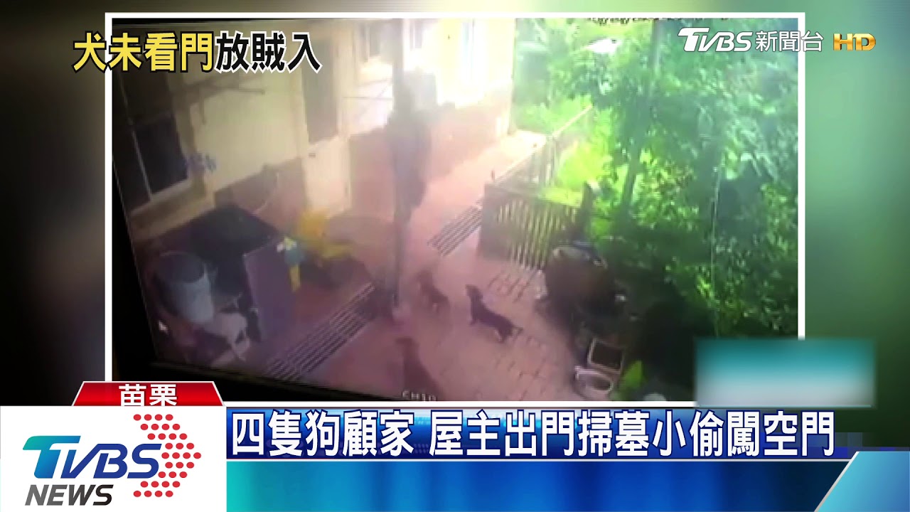 四隻狗顧家 屋主出門掃墓小偷闖空門