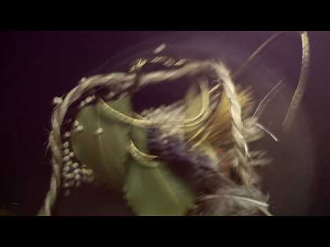 Video thumbnail for The Sound