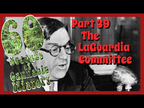 60 Seconds of Cannabis History: Part 39 - The LaGuardia Committee