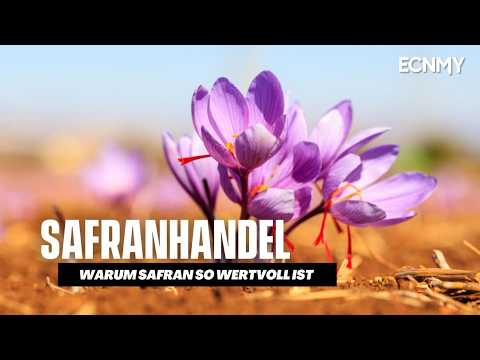 Saffron trade - From field to luxury | ECNMY