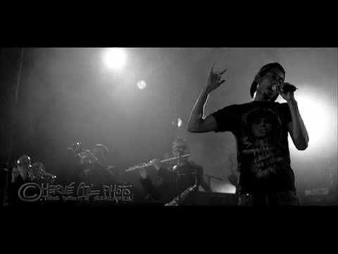 Beat Assailant-Crash the party