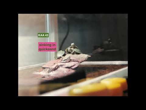 KILL ALTERS ARCHIVES 43  sinking in quicksand