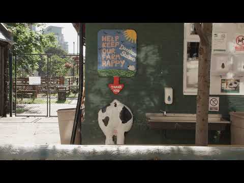 Virtual LCS - The Farm - Vauxhall City Farm 1 - History of the Farm