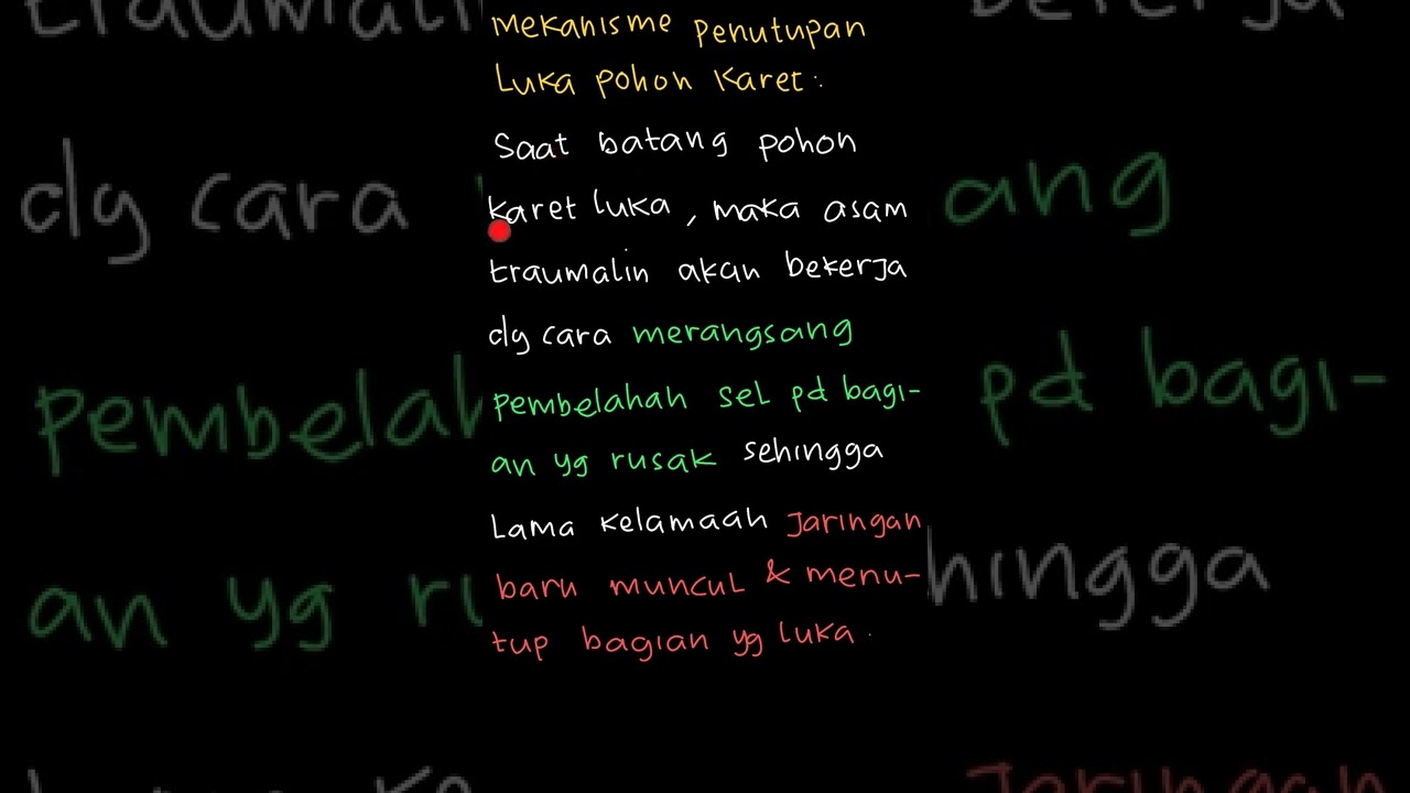 Tanaman karet disadap getahnya dengan cara... | PR Biologi Untu | Kelas 12 | 1 | Biologi