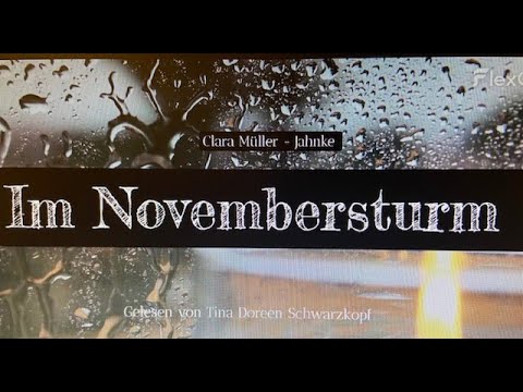 Clara Müller-Jahnke Im Novembersturm