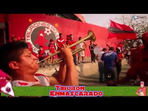 "La aficion del tiburon rojo con el tiburon enmascarado" Barra: Guardia Roja &bull; Club: Tiburones Rojos de Veracruz