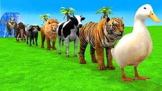 Long Slide Game With Elephant Gorilla Buffalo Hippopotamus Tiger - 3d Animal Game - Funny 3d Animals