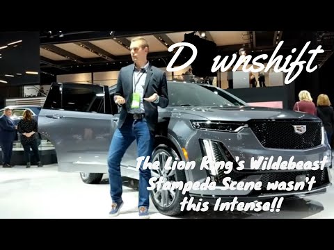 THE PADDOCK | 2020 Cadillac XT6 - People Have no Respect