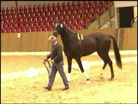 Livaldon Anerkennung