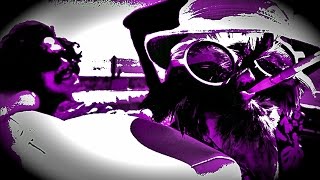 Chicken Run: Flip Flop Fly HOUR LONG VERSION